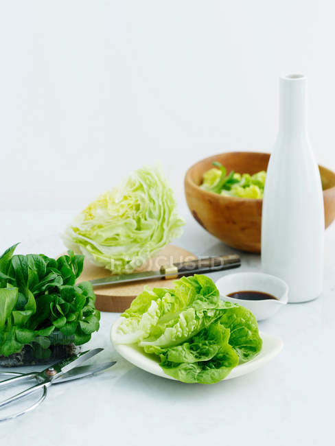 Selection of lettuces with balsamic vinegar and olive oil — Stock Photo
