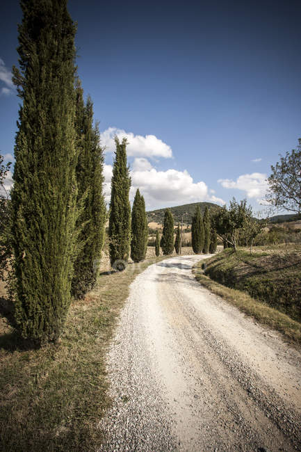 Сільські дороги і кипариси дерев, Сієни, Валле-Orcia, Тоскана, Італія — стокове фото
