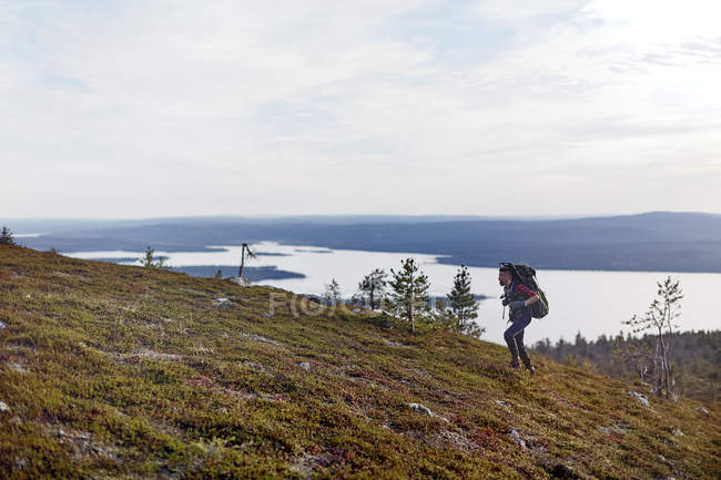 Caminhante cruzando campo por lago, Keimiotunturi, Lapônia, Finlândia — Fotografia de Stock