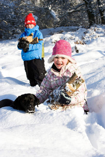 Children and dog collecting wood in snow — Stock Photo