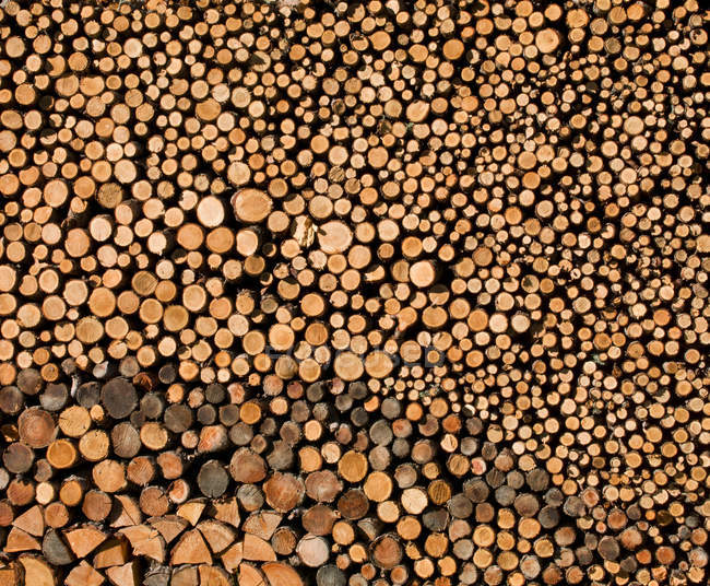 Vista de pilha de logs — Fotografia de Stock