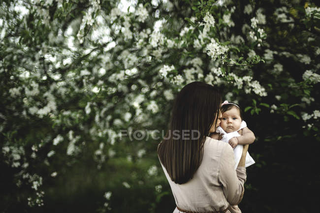 Over shoulder portrait of woman kissing baby daughter by garden apple blossom — Stock Photo