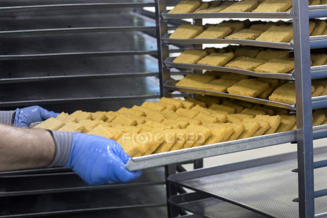 Abgeschnittenes Bild eines Arbeiters, der Tablett mit Bio-Tofu in der Produktionsfabrik hält — Stockfoto