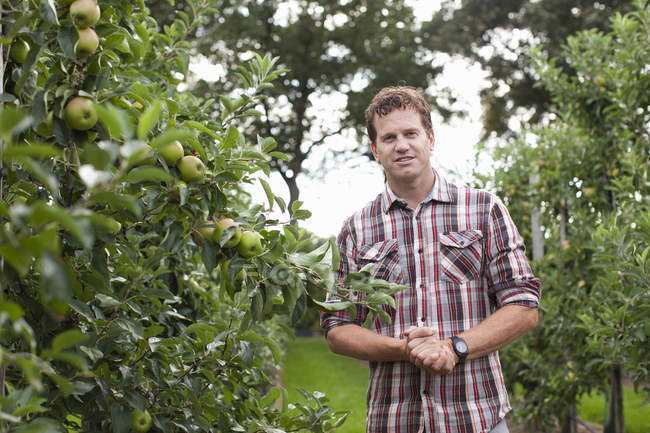 Bauer steht im Apfelgarten — Stockfoto