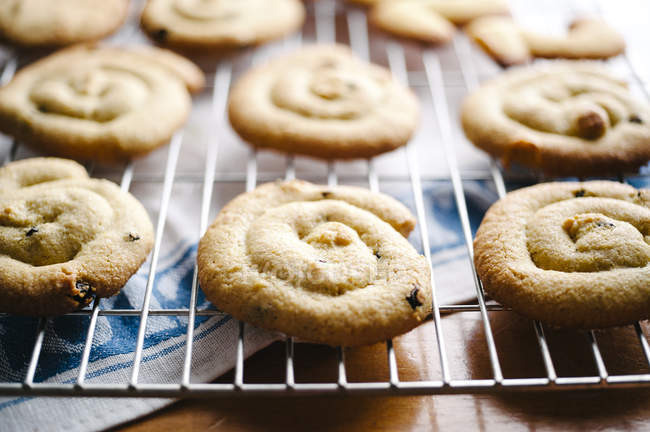 Hausgemachte Kekse auf Kühlregal, Nahaufnahme — Stockfoto