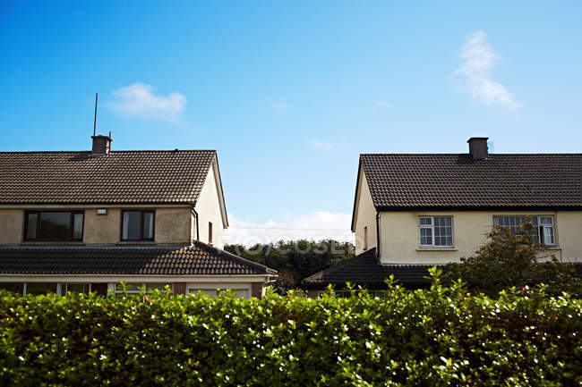 Two detached houses behind hedge — Stock Photo