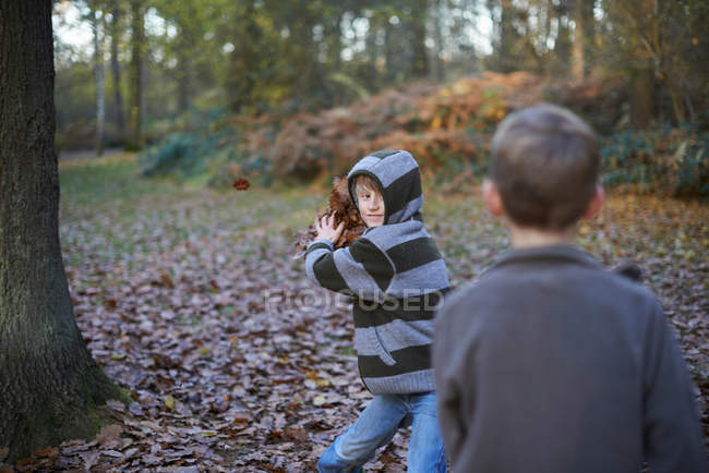 Menino jogando folhas em amigo em bosques outonais — Fotografia de Stock