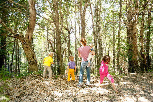 Familia caminando en el bosque - foto de stock