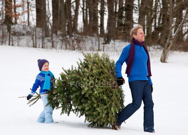 Vater und Sohn tragen Weihnachtsbaum — Stockfoto