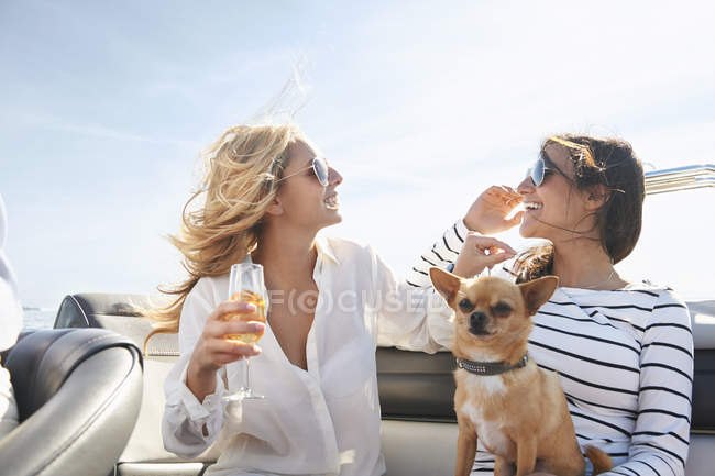 Young women on boat with wine and dog — Stock Photo