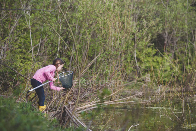 Girl retrieving frog from fishing net at pond — Stock Photo
