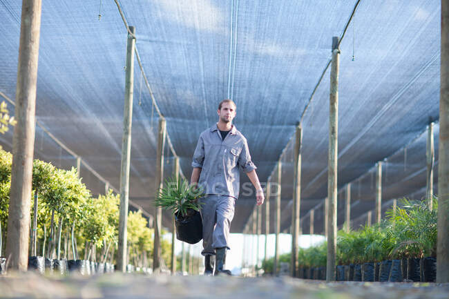 Travailleur de pépinière portant une plante — Photo de stock