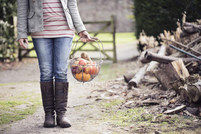 Cropped shot of woman holding basket of organic fruits on dirt track — Stock Photo