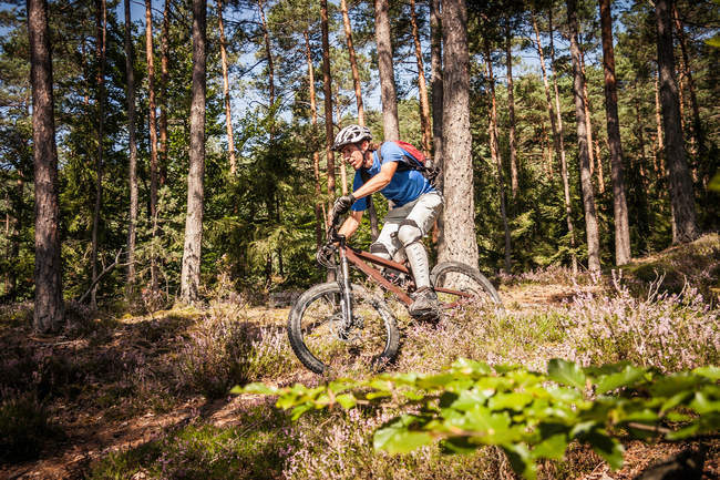 Людина гірський велосипед через ліс — стокове фото