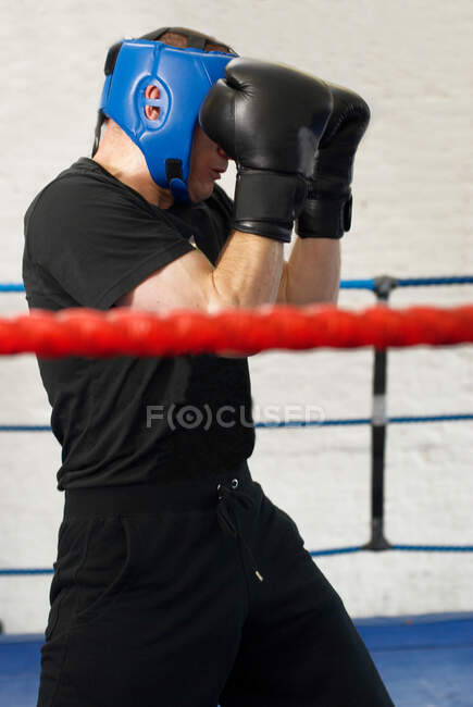 Боксер, закрывающий лицо в ринге — стоковое фото