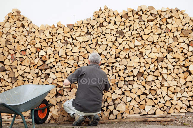 Пожилой человек складывает дрова в тачку — стоковое фото