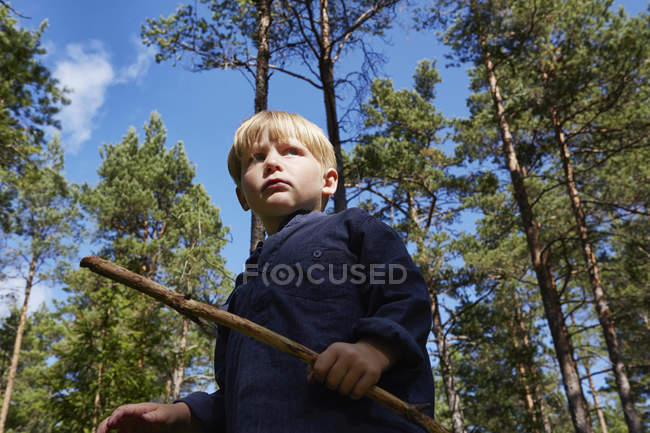 Мальчик, стоящий в лесу с палкой — стоковое фото