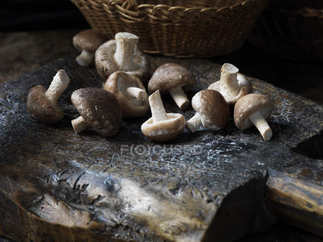 Cogumelos shitake frescos colhidos na superfície de madeira rústica — Fotografia de Stock