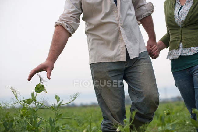 Couple agricole marchant dans le champ — Photo de stock