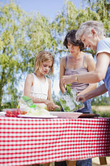 Multi generation family making picnic — Stock Photo