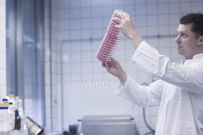 Scientist holding up stack of petri dishes in laboratory — Stock Photo