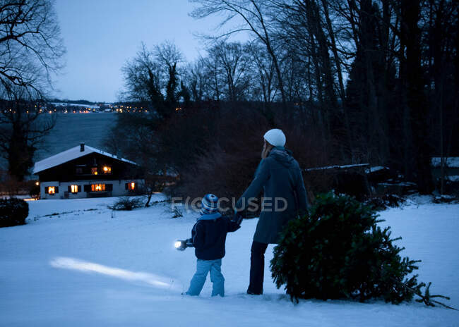 Matriz e filho que carreg a árvore de Natal — Fotografia de Stock