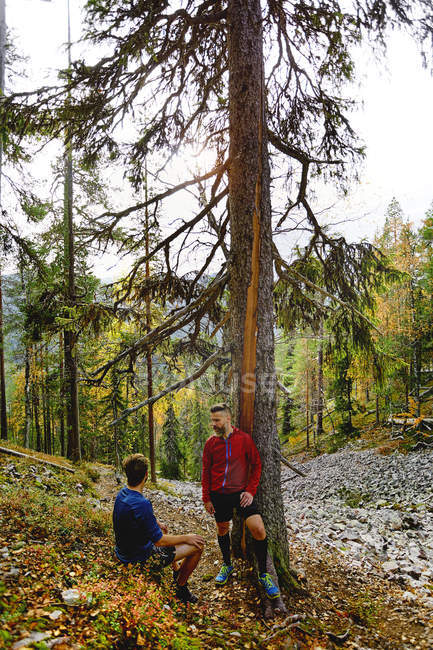 Trailläufer ruhen sich am Baum im Wald aus, kesankitunturi, Lappland, Finnland — Stockfoto