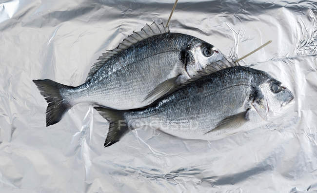 Fish laying on aluminium foil — Stock Photo