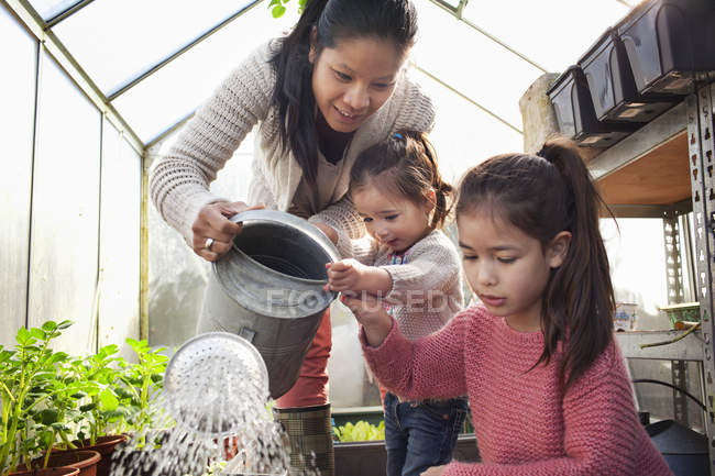 Madre e hijas regando plantas en invernadero - foto de stock