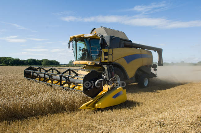 Thresher récolte du blé sur le champ — Photo de stock