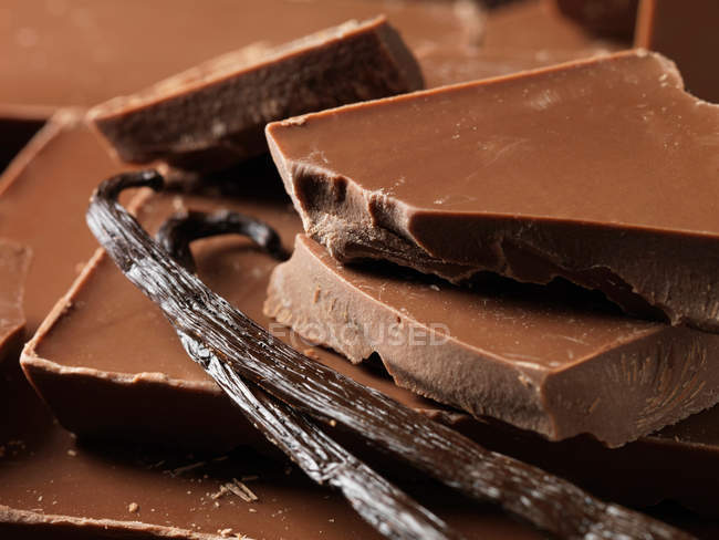 Cioccolato con bacche di vaniglia — Foto stock