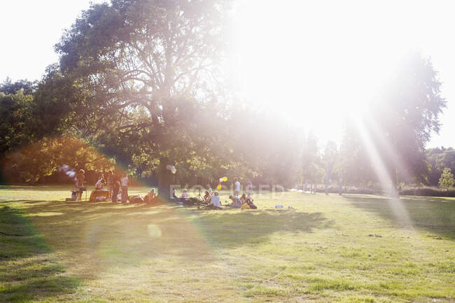 Amis adultes assis sous un arbre à la fête du coucher du soleil dans le parc — Photo de stock