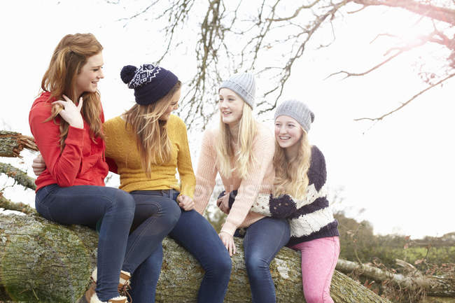 Cuatro chicas adolescentes sentadas en la parte superior del tronco del árbol - foto de stock