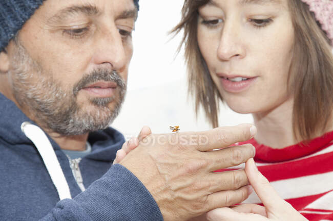 Couple looking at insect — Stock Photo