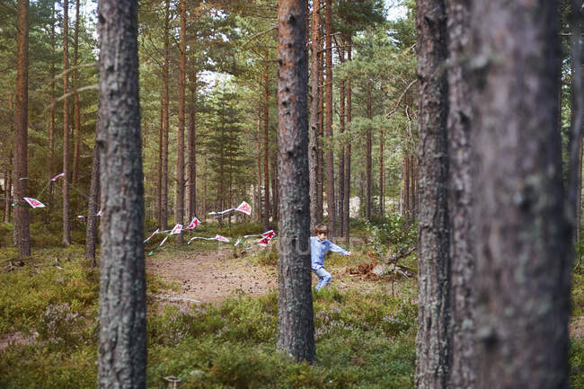 Ragazzo che corre attraverso la foresta tirando bunting — Foto stock