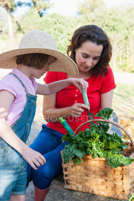 Mère et fille cueillant des légumes — Photo de stock