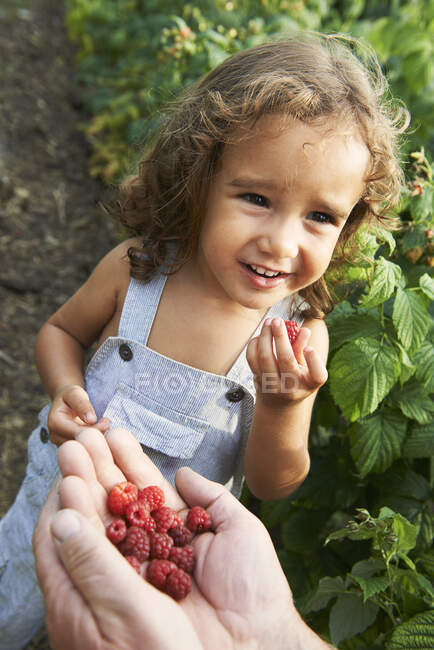 Grandfather sharing raspberries with grandson — Stock Photo