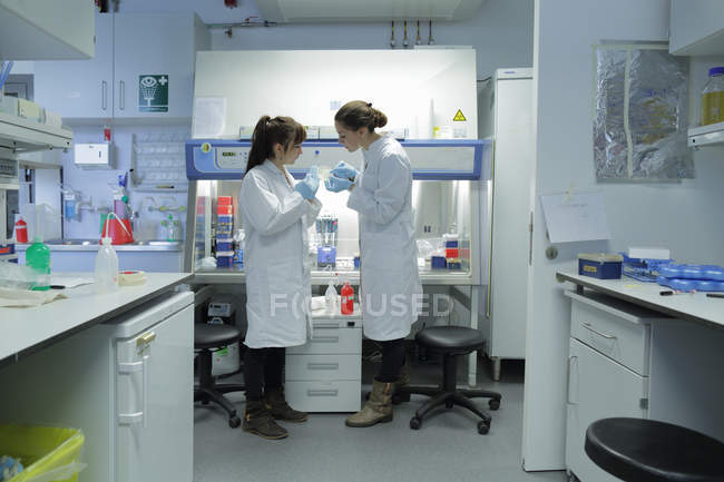 Biology lab technicians having discussion at work — Stock Photo