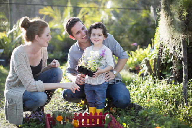 Couple and son planting miniature garden on allotment — Stock Photo