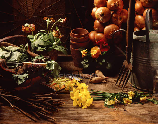 Flores y verduras recién recogidas con herramientas de jardín y macetas de flores - foto de stock