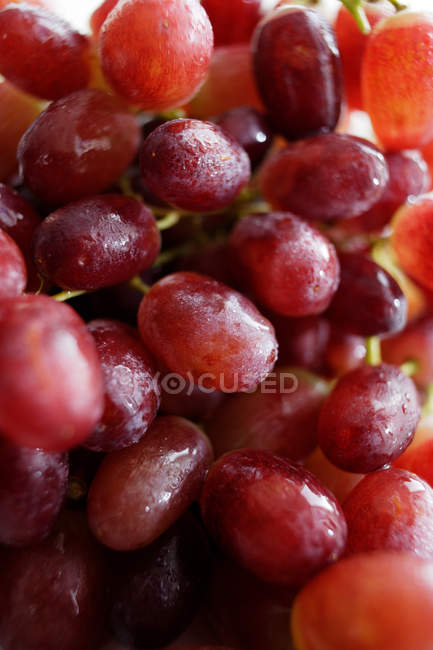 Bunch of fresh grapes — Stock Photo