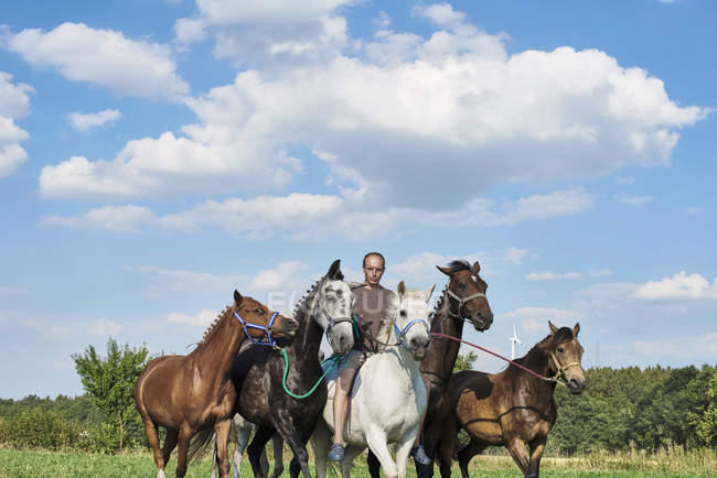 Hombre adulto a caballo y líder de seis caballos en el campo - foto de stock