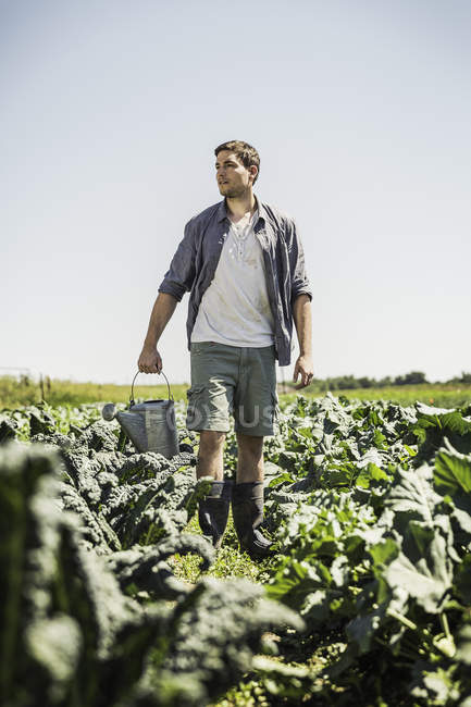 Чоловік в овочевому саду, що несе лійку, дивиться геть — стокове фото