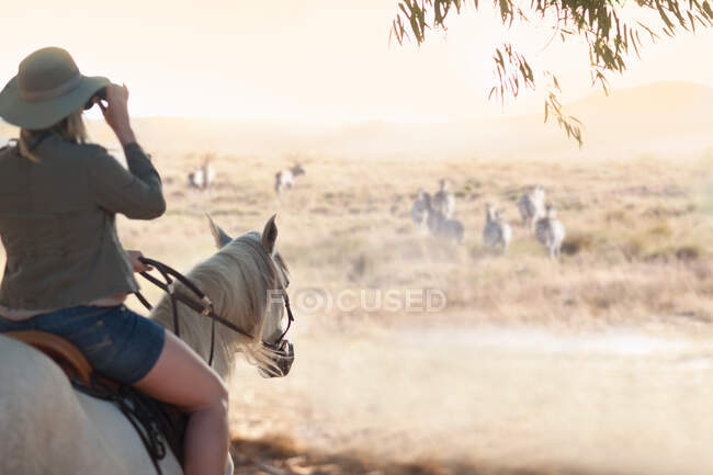 Frau auf Pferd beobachtet Wildtiere, Stellenbosch, Südafrika — Stockfoto