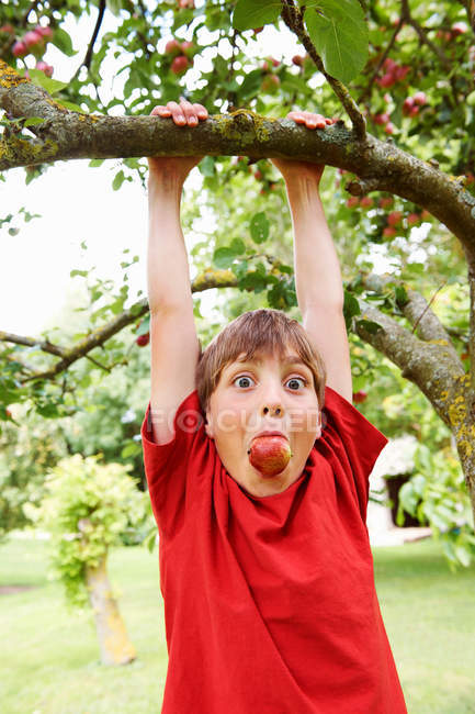 Menino com maçã na boca brincando na árvore de frutas — Fotografia de Stock