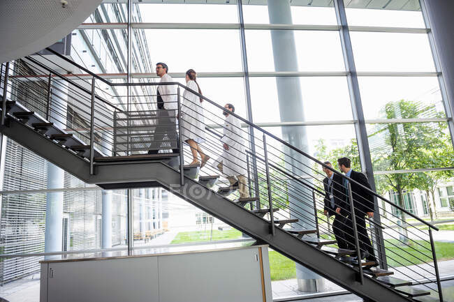Doctors and businessmen walking up hospital staircase — Stock Photo
