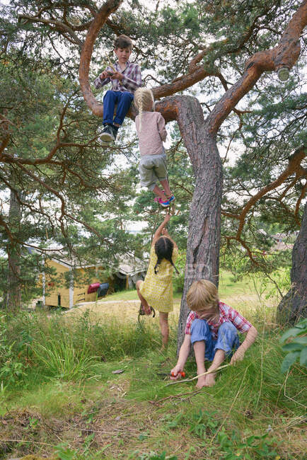 Grupo de jovens amigos brincando ao ar livre, árvore de escalada — Fotografia de Stock