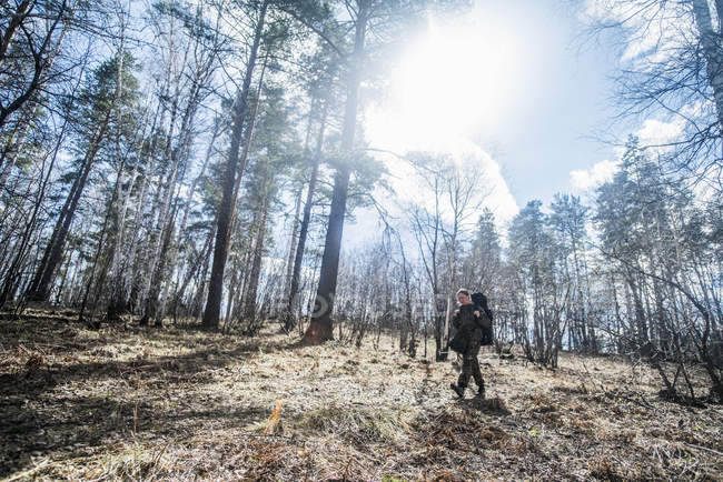 Junge Frau wandert bei Gegenlicht im Wald — Stockfoto