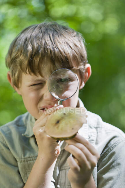 Menino examina um cogumelo — Fotografia de Stock