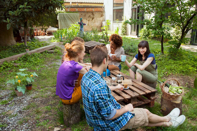 Друзі сидять в саду — стокове фото
